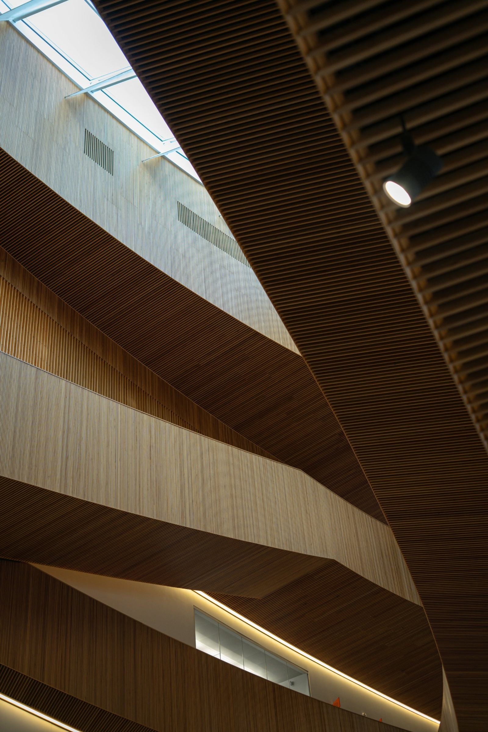 Timber-slatted atrium with integrated linear lighting and skylight